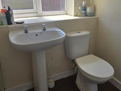Picture 14